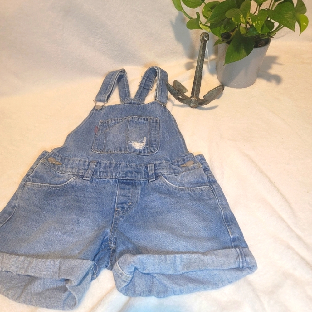 Levis overalls